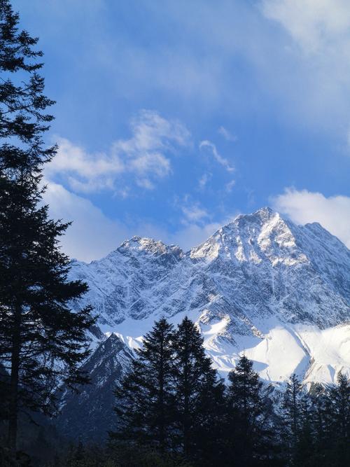 COP30 opens in Brazil amid growing outcry for global climate action